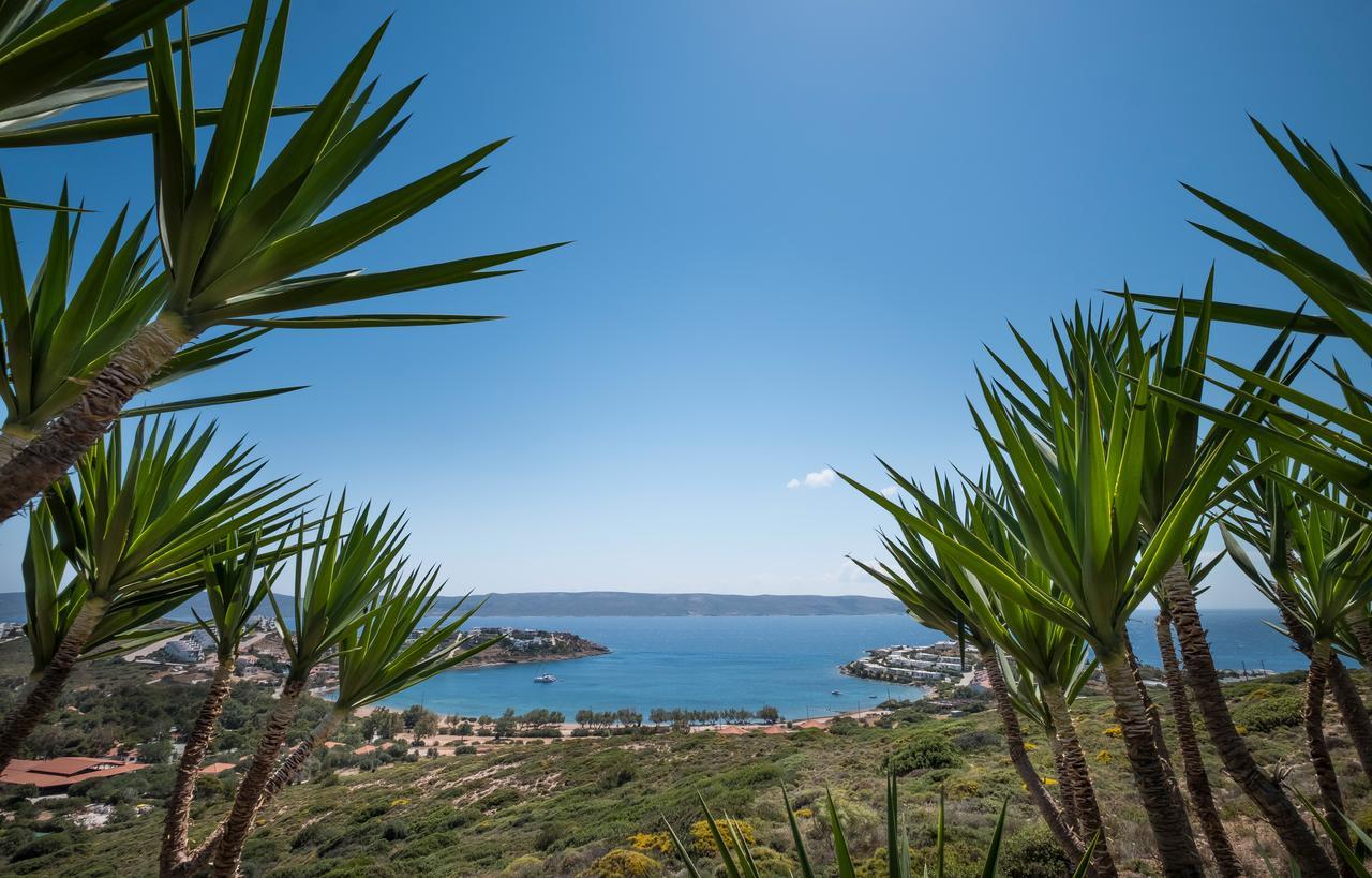 Sounio Villa ซูนิโอ ภายนอก รูปภาพ